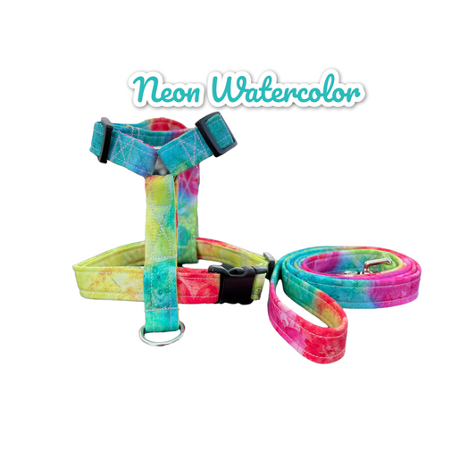 Neon watercolor dog harness and leash set, standard roman dog harness, step in dog harness, matching leash, pet harness