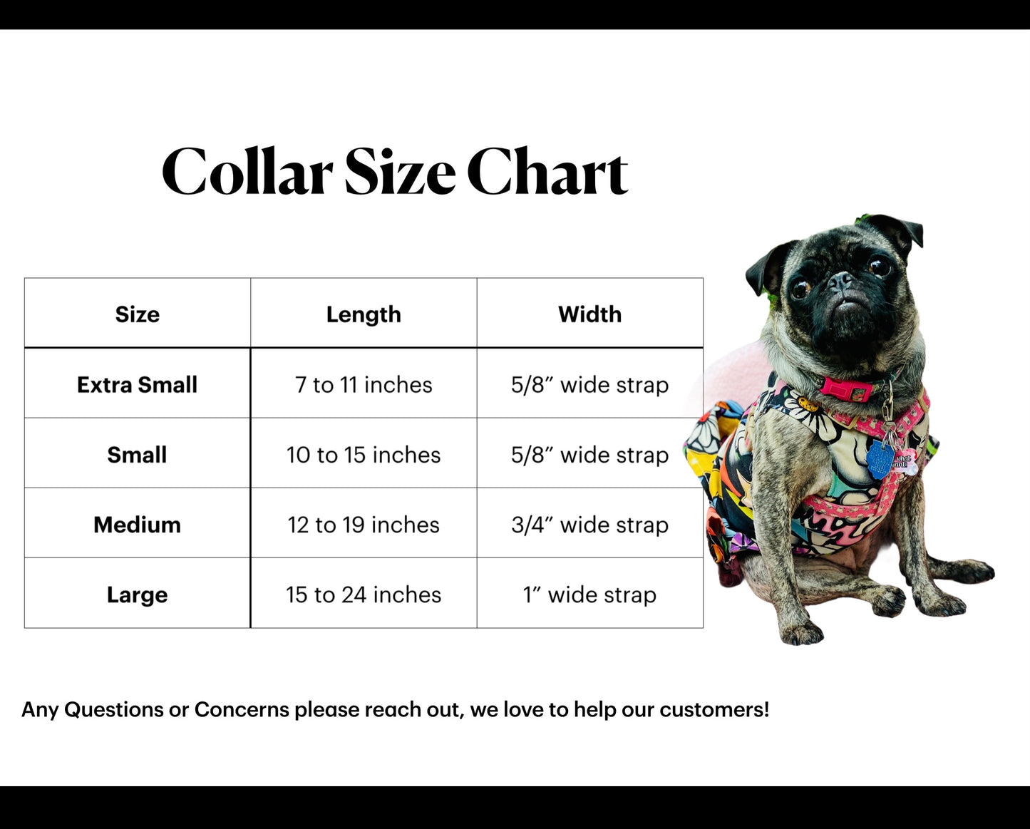 Biothane dog collar, dog collar orange, dog collar, buckle dog collar, waterproof collar, Adjustable Biothane Dog Collar, rose gold hardware