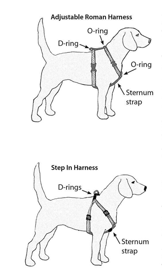 Orange and mint dog harness and leash set, standard roman dog harness, step in dog harness, girl dog harness, handmade dog harness, adjustable harness, washable
