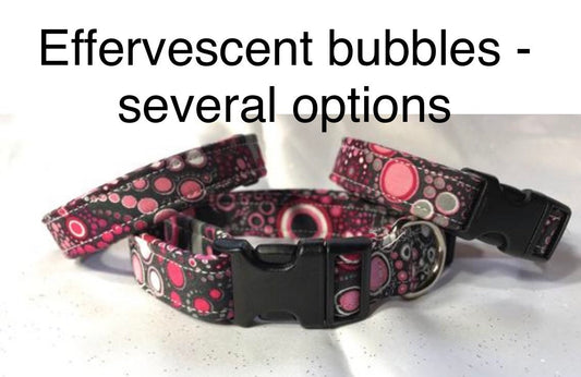 Dog Collar, girl dog collar, boy dog collar, bubble dog collar, fabric, adjustable collar, buckle dog collar, effervescent bubbles, bubbles