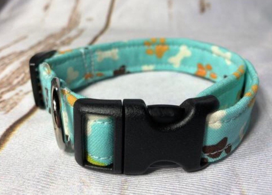 Dog Collar, teal dog collar, martingale collar, adjustable collar, strong dog collar, buckle dog collar, dog collar boy, bones, paws, teal
