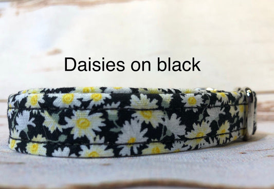Dog Collar, dog colla girl, martingale collar, adjustable collar, nylon collar, buckle dog collar, daisy dog collar, daisy, daisies on black
