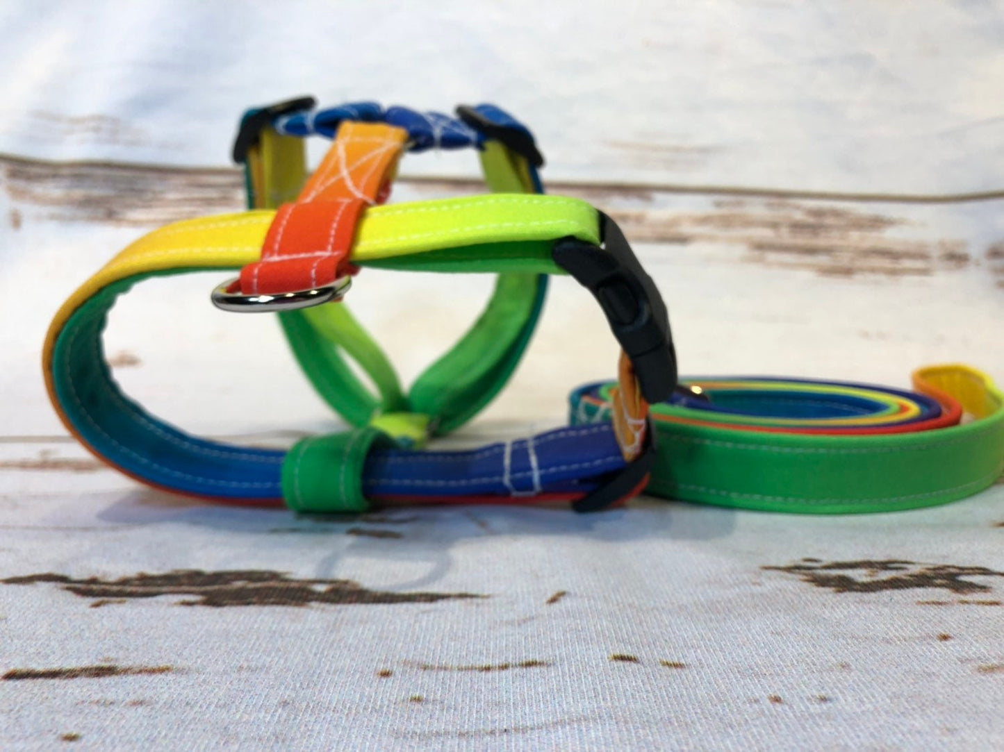 Dog harness, Harness and leash set, step in harness, standard harness, adjustable harness, rainbow dog harness, rainbow, pride, pride month