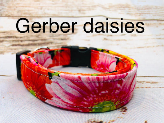 Dog Collar, girl dog collar, adjustable collar, gerber daisy dog collar, buckle dog collar, side release buckle, floral dog collar, gerber daisy