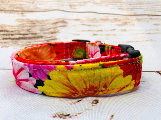 Dog Collar, girl dog collar, adjustable collar, gerber daisy dog collar, buckle dog collar, side release buckle, floral dog collar, gerber daisy