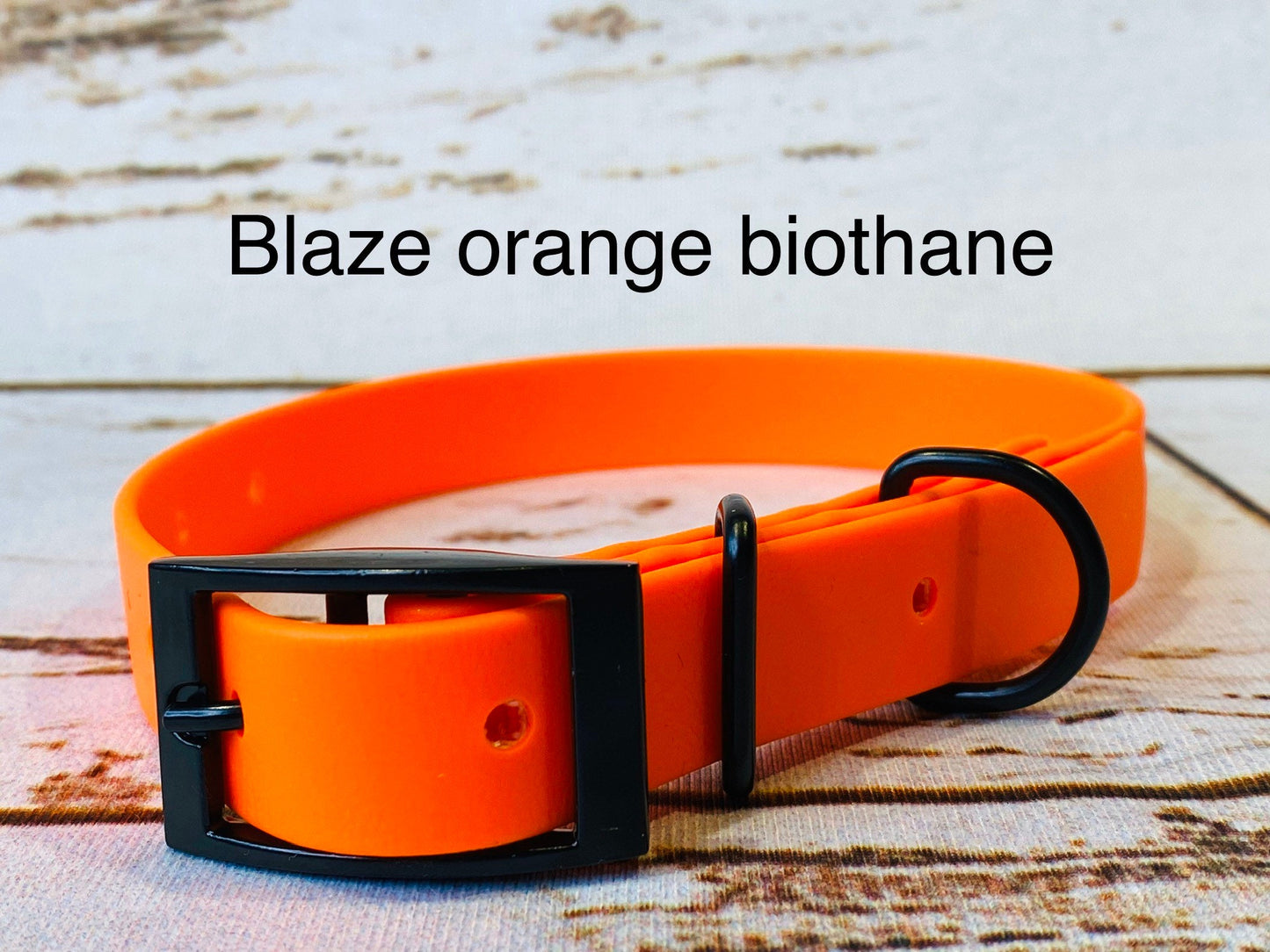 Biothane dog collar, orange dog collar, dog collar, buckle dog collar, waterproof collar, blaze orange, orange biothane, vegan leather