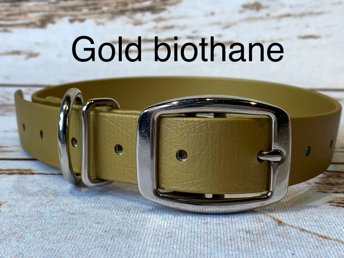 Biothane dog collar, gold dog collar, dog collar, buckle dog collar, waterproof collar, gold, gold biothane, vegan leather dog collar