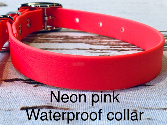 Waterproof dog collar, pink dog collar, dog collar, buckle dog collar, waterproof collar, pink, neon pink dog collar, dog collar girl
