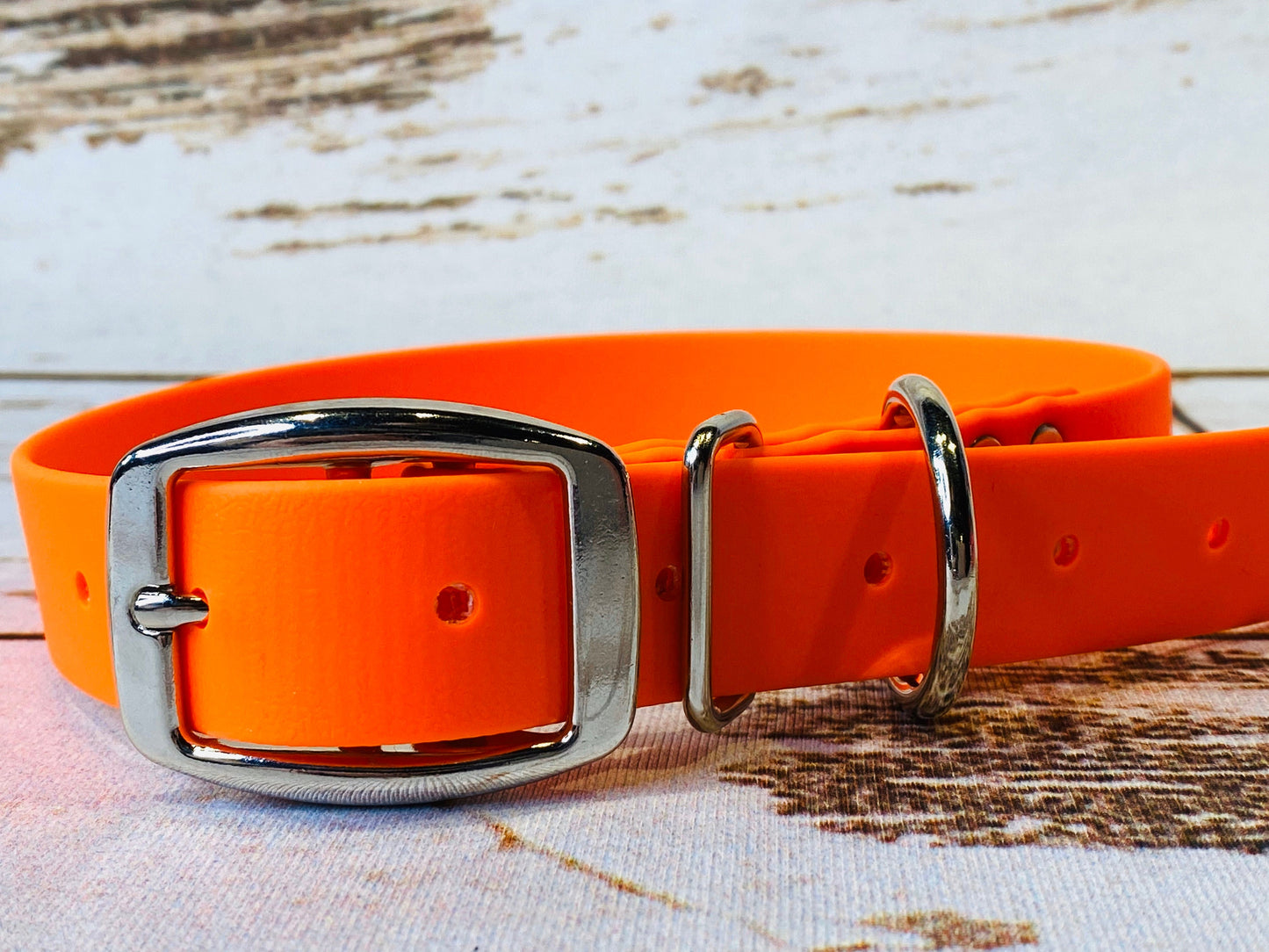 Biothane dog collar, orange dog collar, dog collar, buckle dog collar, waterproof collar, blaze orange, orange biothane, vegan leather