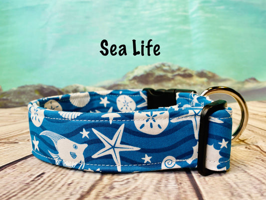 Dog Collar, fish dog collar, side release collar, adjustable collar, buckle dog collar, starfish, sea horse, ocean dog collar, sea life