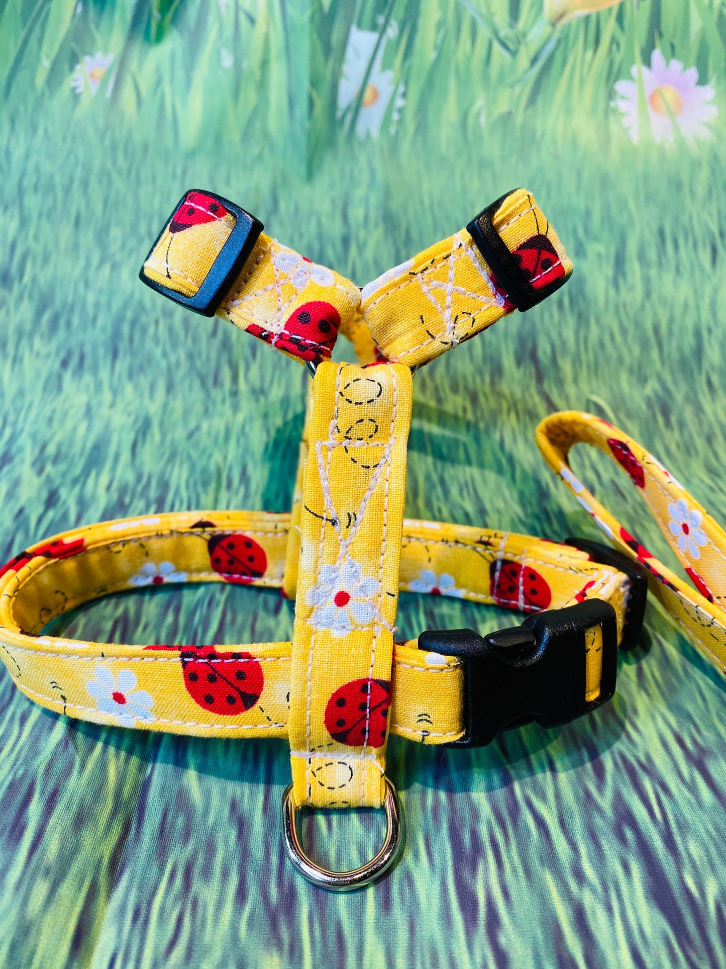 Dog harness, Harness and leash, step in harness, standard harness, dog harness set, adjustable harness, lady bug harness, daisy dog harness