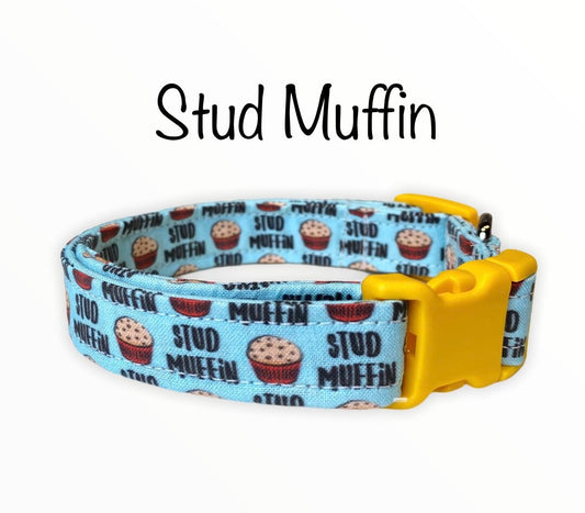 Dog collar, stud muffin dog collar, stud dog collar, fabric dog collar, adjustable, funny dog collar, Stud muffin, cat collar, cute collar