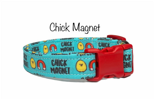 Chick magnet dog collar, dog collar, eco friendly dog collar, chick magnet, fabric dog collar, funny dog collar, blue collar, boy collar