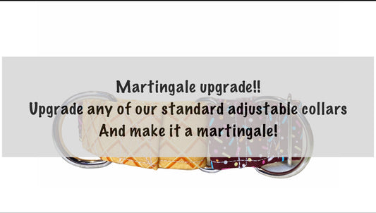 Martingale upgrade, martingale collar, martingale dog collar, gentle choke dog collar, gentle choke, choke dog collar, buckle-less collar