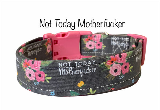 Obscene dog collar, dog collar, not today motherfucker, fuck dog collar, girl dog collar, funny dog collar, floral dog collar, cat collar