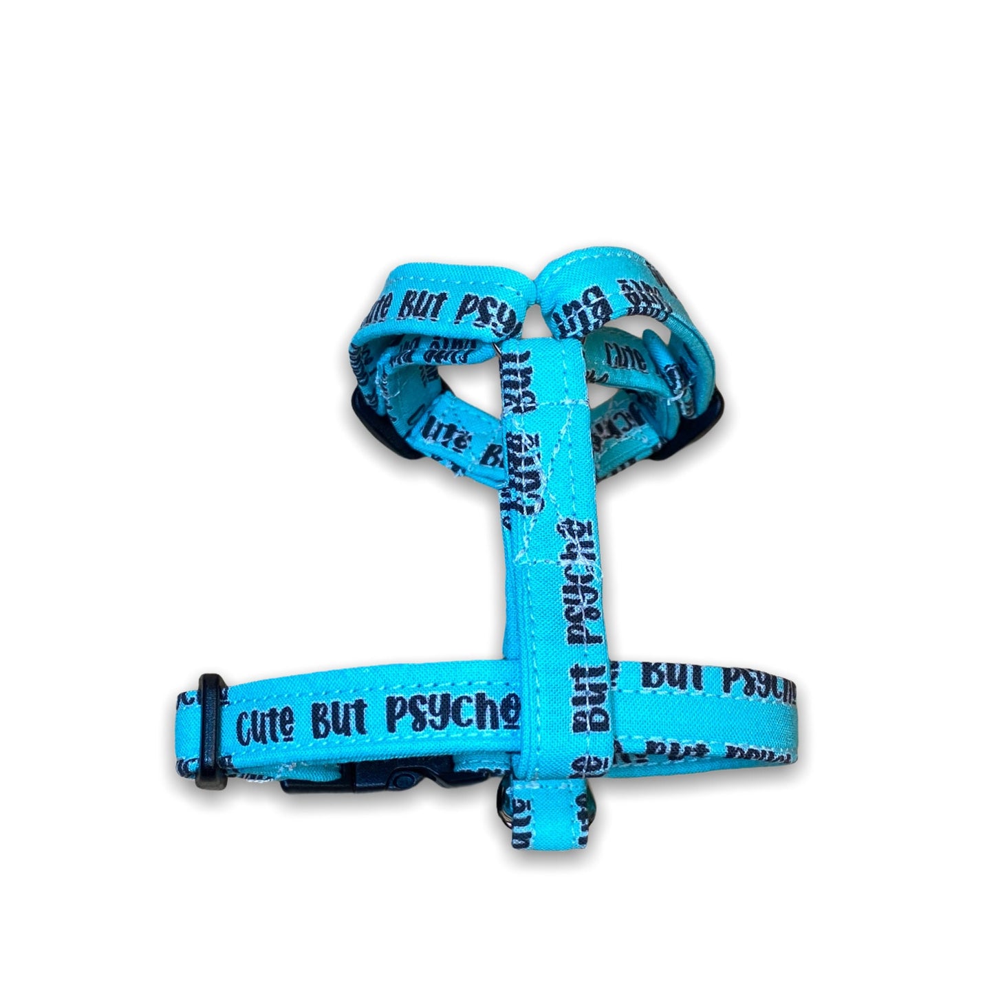 Funny dog harness and leash set, adjustable dog harness, standard Roman harness, step in harness, matching leash, cute but psycho, washable