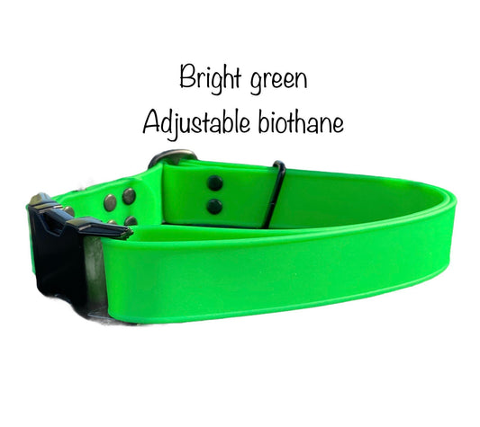 Biothane dog collar, green dog collar, dog collar, buckle dog collar, waterproof collar, Adjustable Biothane Dog Collar, metal dog hardware