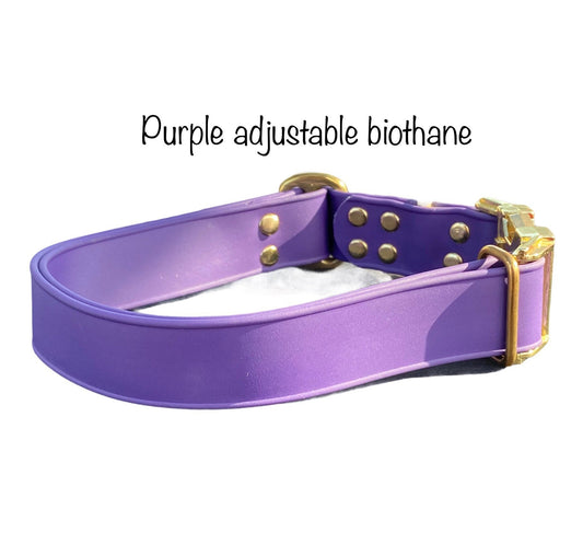 Biothane dog collar, purple dog collar, dog collar, buckle dog collar, waterproof collar, Adjustable Biothane Dog Collar, metal dog hardware