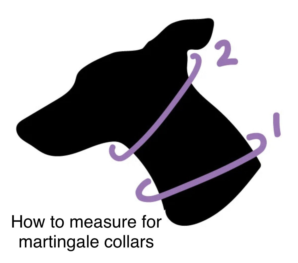 Pasta Martingale dog collar, adjustable martingale dog collar, choke collar, washable martingale collar, noodles, funny martingale collar