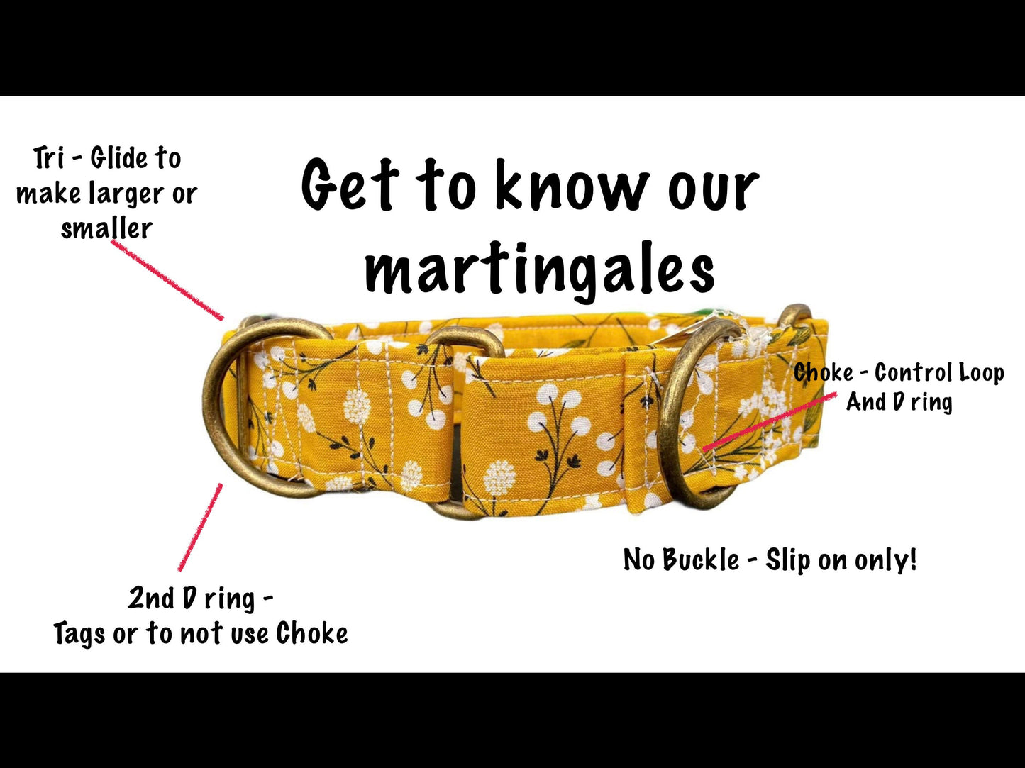 Pasta Martingale dog collar, adjustable martingale dog collar, choke collar, washable martingale collar, noodles, funny martingale collar