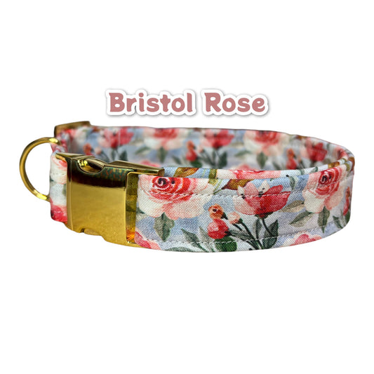 Floral dog collar, brass dog collar, dog collar girl, adjustable side release collar, brass hardware, dog collar, flower dog collar, female
